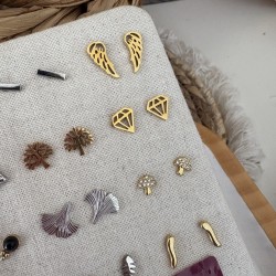 PUCES D'OREILLES