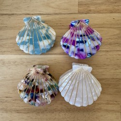 PINCES COQUILLAGES