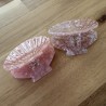 PINCES COQUILLAGES