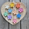 PINCES FLEURS PAPEETE (Petites)
