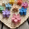 PINCES FLEURS PAPEETE (Petites)